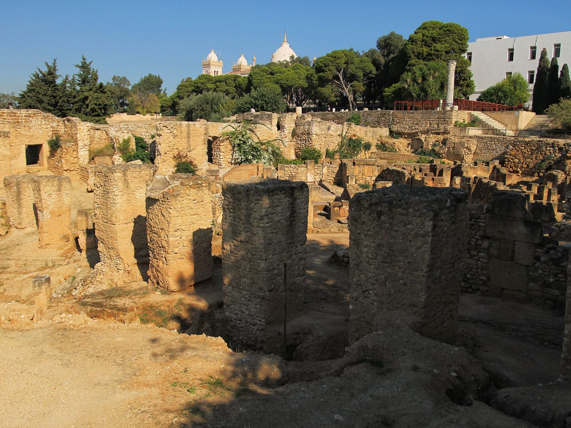 The circular Punic ports of ancient Carthage
