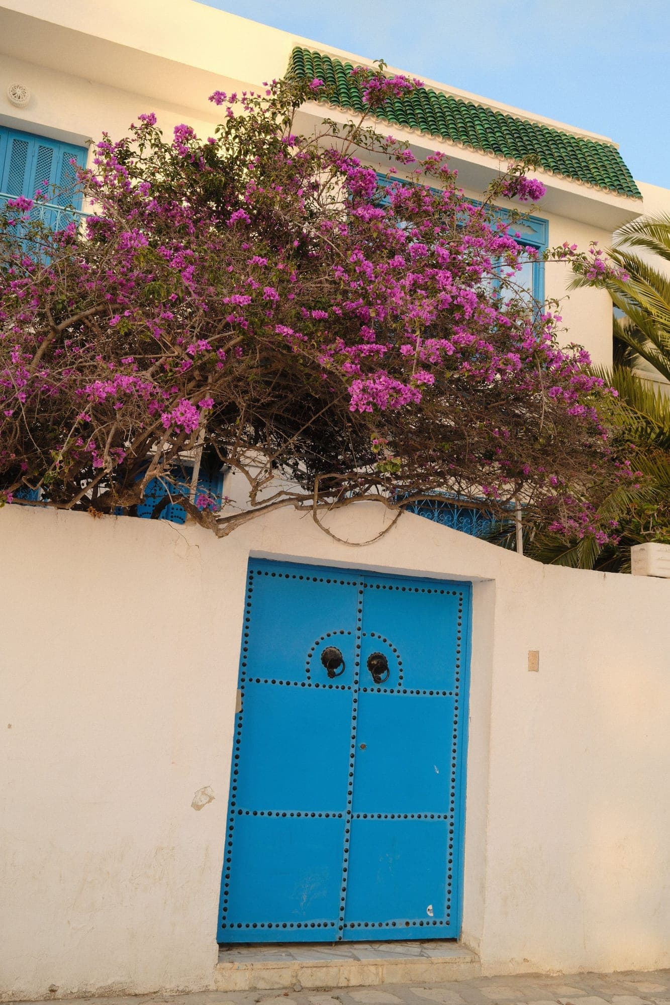 Studded blue door under a bougainvillea in Sidi Bou Saïd