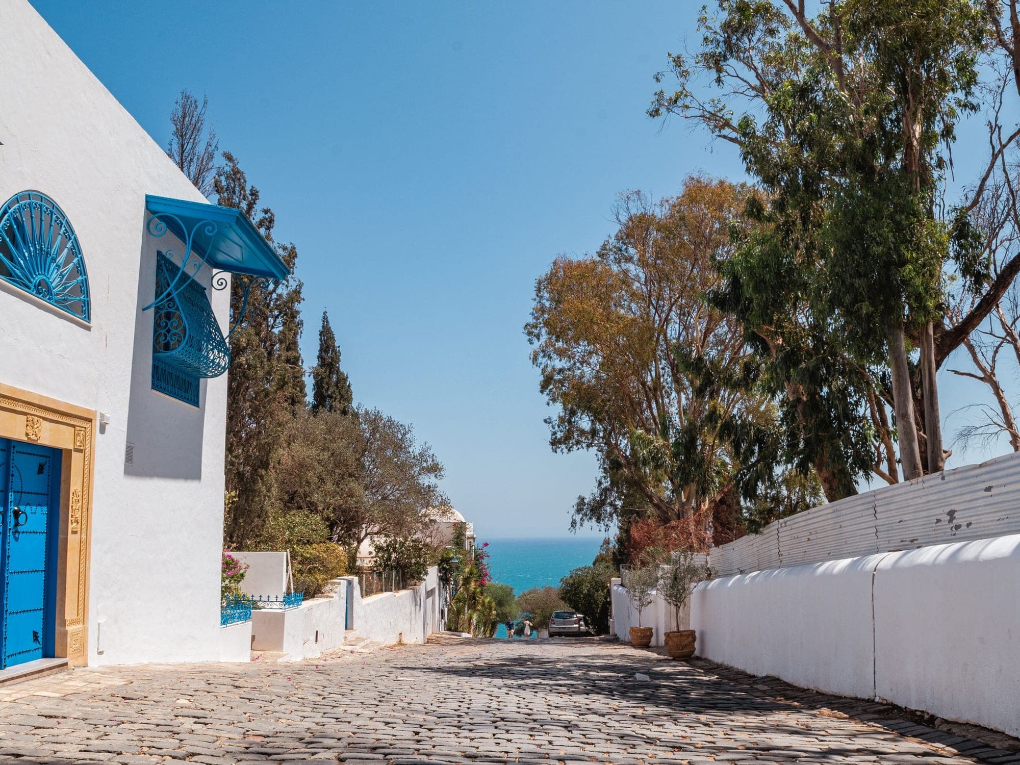 Blue and white street with a sea view, Sidi Bou Saïd